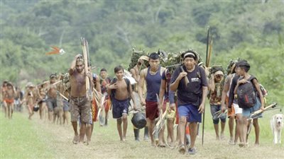 حنان أبوالضياء تكتب عن: سينما نهاية العالم... النضال السياسى والاغتصاب النفسى والجسدى فى كان