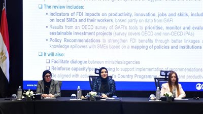 التخطيط تشارك في اجتماع مشروع خصائص الاستثمار الأجنبي المباشر بمصر