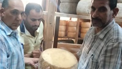 البحيرة: ضبط 115 قرص جبنة رومي مجهولة المصدر