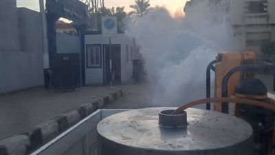 نشاط مكثف لمكافحة الذباب والبعوض وناقلات الأمراض بالشرقية 