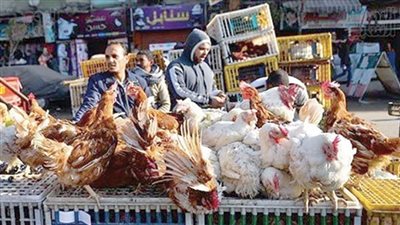 ألغاز الأسواق.. تحرق دم المصريين