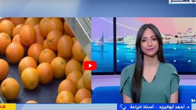 أستاذ زراعة: اهتمام غير مسبوق بالنشاط الزراعي في الجمهورية الجديدة (فيديو)