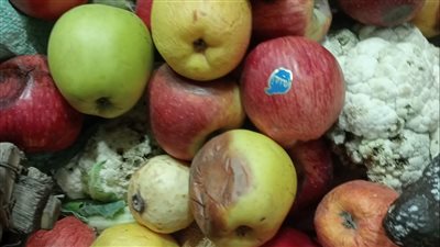 مراقبة الأغذية بالدقهلية تكثف حملاتها بالمرورعلى 185 منشأة غذائية