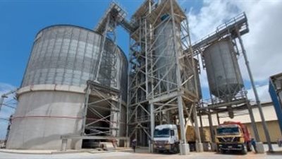 التموين تتعاقد علي 290 ألف طن قمح مستورد والاحتياطي يكفي 5 أشهر  