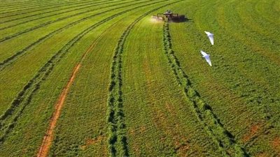 مشروعات جنوب الوادي.. مستقبل الزراعة والصناعة والتنمية في مصر (معلومات)