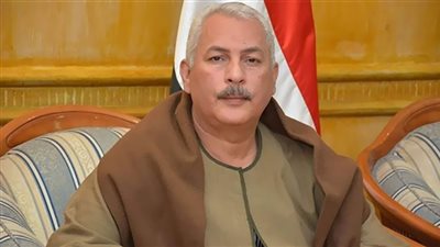 نقيب الفلاحين: إحياء مشروع توشكى يزيد الرقعة الزراعية ويساهم في زيادة الإنتاج الزراعي 