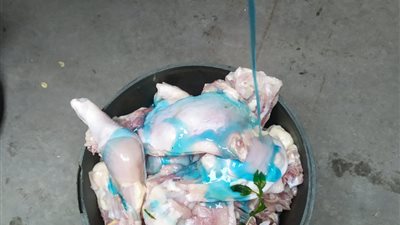 ضبط 67 كيلو دجاج وإعدام 69 كيلو فسيخ فى حملة تموينية بالغربية