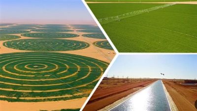تنمية الصحراء.. مفتاح الأمن الغذائي المصري