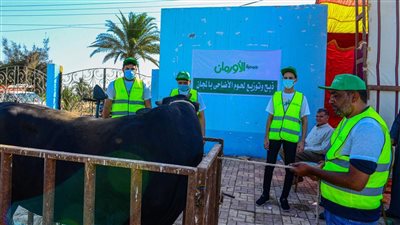  لزيادة أعداد المستفيدين.. 540 جنيهًا قسطًا شهريًا صك الأضحية بأسيوط