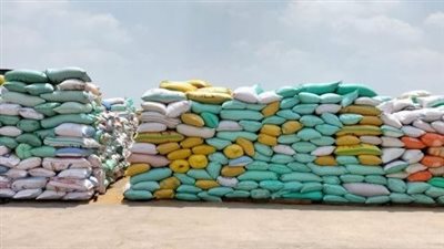 صوامع وشون الشرقية تستقبل 597161 طن قمح