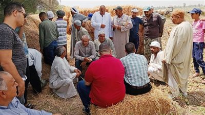 32 طنًا متوسط إنتاج الفدان.. زراعة البحيرة تنفذ يومًا لحصاد بنجر السكر 