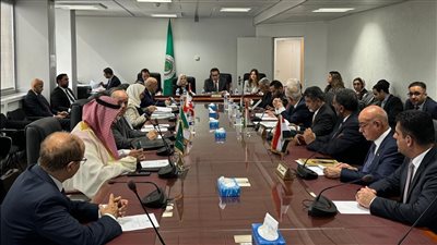 وزير الصحة يؤكد أهمية تعزيز التعاون بين الدول العربية لاستمرار الدعم للشعب الفلسطيني 