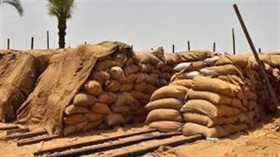 البحيرة: توريد 217 ألف طن قمح منذ بدء الموسم