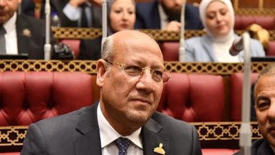 النائب عمرو عكاشة: القيادة السياسية استطاعت تحقيق النمو الاقتصادي 