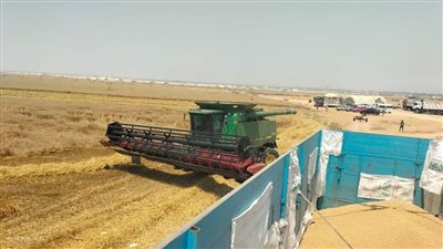 محافظ الإسماعيلية يعلن عن ارتفاع حصيلة توريد القمح لهذا الموسم ٢٠٢٤