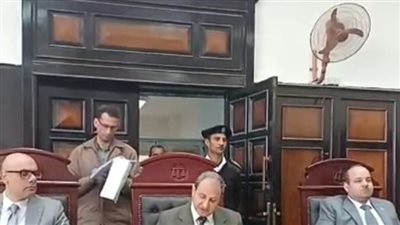 المؤبد لميكانيكي خطف وهتك عرض طفل بالوادي الجديد