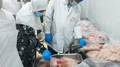 ضبط 500 كيلو دواجن غير صالحة للاستهلاك الآدمي بالعاشر من رمضان