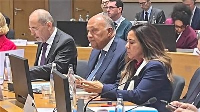 شكري يدعو إلى ضرورة تضافر التحركات العربية والأوروبية لوقف الحرب الإسرائيلية على غزة