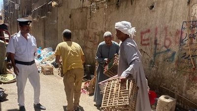 83 محضر خلال حملة مكثفة بالأقصر