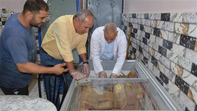 ضبط 506 كيلو رنجة ولحوم فاسدة بالغربية