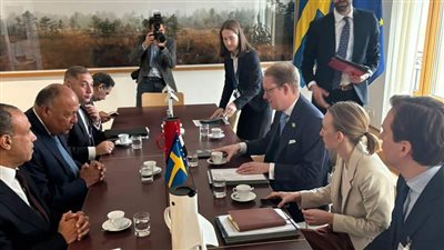 وزير الخارجية يبحث مع نظيره السويدي مستجدات الأوضاع في غزة