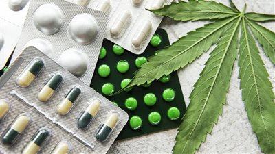 بيع الحشيش في المغرب يشغل أزمة في الأسواق العربية|سعر الكيلو يتجازو الـ 60 ألفًا