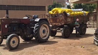 توريد 599 ألف طن قمح لصوامع وشون الشرقية 