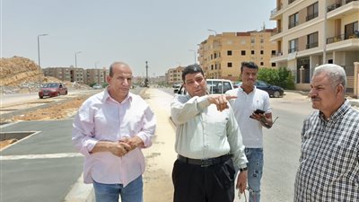  جهاز الشروق: جارٍ تنفيذ جزيرة جديدة ورفع كفاءة الطرق والأرصفة بمحور العمارات