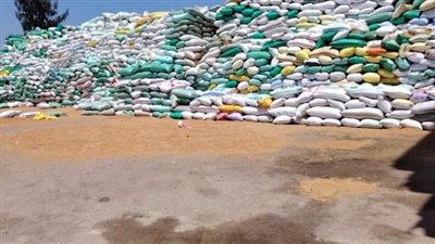 الشرقية: إرتفاع كمية القمح المورد للشون والصوامع لـ 600 ألف طن