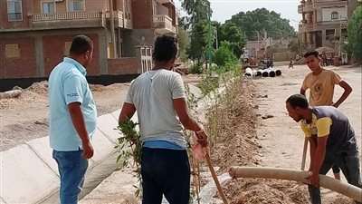 زراعة 500 شجرة جديدة بقرية نيدة بسوهاج 