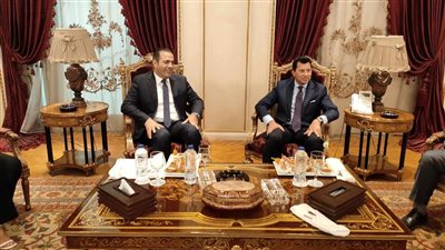 النائب محمود حسين: أبناؤنا في الخارج خط الدفاع الأول عن الوطن 