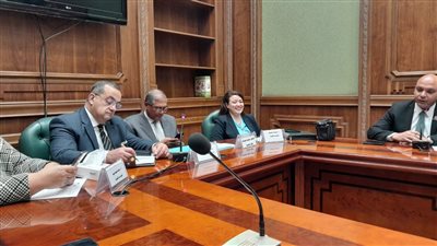 مساعد وزيرة الهجرة يستعرض جهود الوزارة في ملف دعم ورعاية المصريين بالخارج