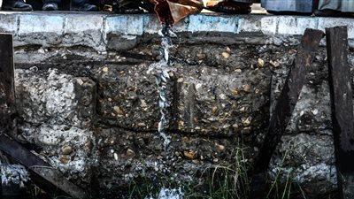 قنا| الثروة السمكية تبدأ بإنزال مليوني زريعة في نهر النيل