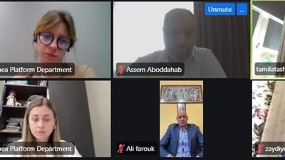 الجالية المصرية تشارك في اجتماع حول مبادرة السلام الأوكرانية.. صور