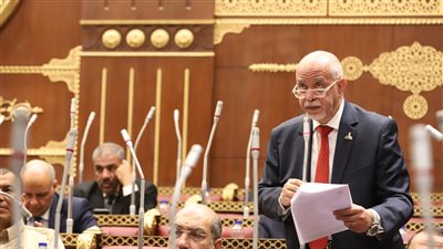 النائب حازم الجندي:  دعوة الحوار الوطني لإعداد رؤية مصر الاقتصادية خطوة مهمة لتعزيز المشاركة المجتمعية 