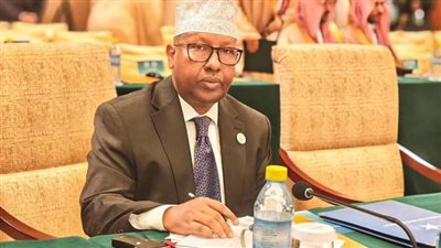 وزير الخارجية الصومالي يُدين تصرفات إثيوبيا وتدخلاتها السافرة