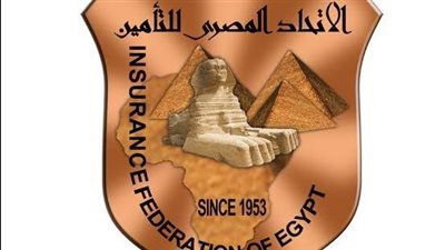 هديل عبد القادر أمينًا عامًا للاتحاد المصري للتأمين     