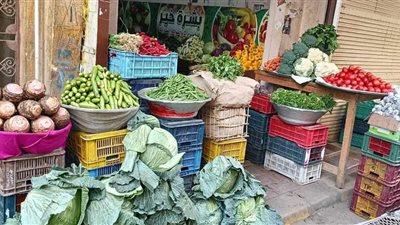 البطاطس بـ 15 جنيهًا.. أسعار الخضراوات اليوم الخميس في المنوفية