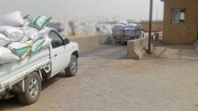 توريد 601 ألف طن قمح لصوامع وشون الشرقية 