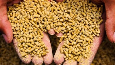 تباين أسعار الأعلاف اليوم عند تاجر الجملة