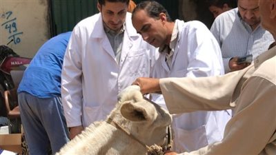 بحوث الصحة الحيوانية ينظم قافلة بيطرية مجانية لمحافظة المنوفية