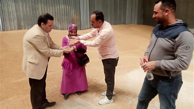 توريد 87 ألف و564 طن قمح لشون وصوامع الإسكندرية