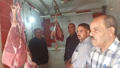 ضبط لحوم مذبوحة خارج المجازر وتحرير محاضر ضد الجزارين بالفيوم 