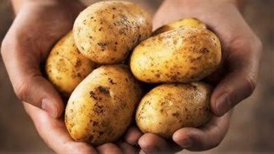 تنفع للدايت.. فوائد البطاطس المذهلة للجسم