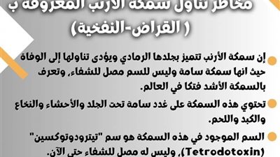 صحة الإسماعيلية تُْحذِر من بيع أو تداول سمكة الأرنب بالأسواق