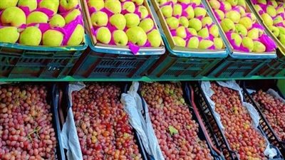 استقرار أسعار الفاكهة والخضروات اليوم الجمعة بأسواق الفيوم 