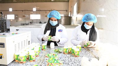  لتذليل المعوقات.. محافظ قنا يلتقي رئيس جمعية المستثمرين 