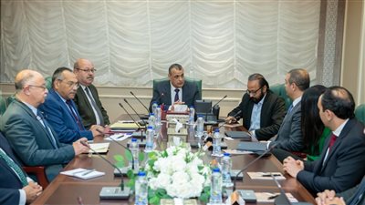 وزير الدولة للإنتاج الحربي يبحث إمكانية التعاون مع مجموعة 