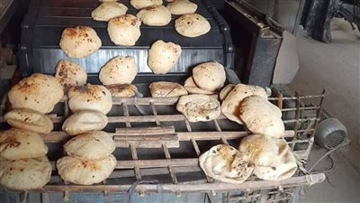 تحرير 170 محضر مخالفات لمخابز بالقليوبية