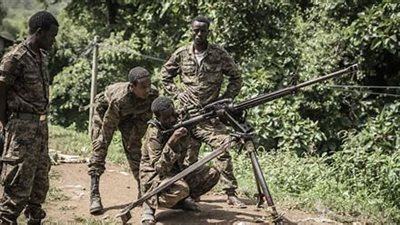 مقتل جندي من جنوب أفريقيا وإصابة 13 آخرين